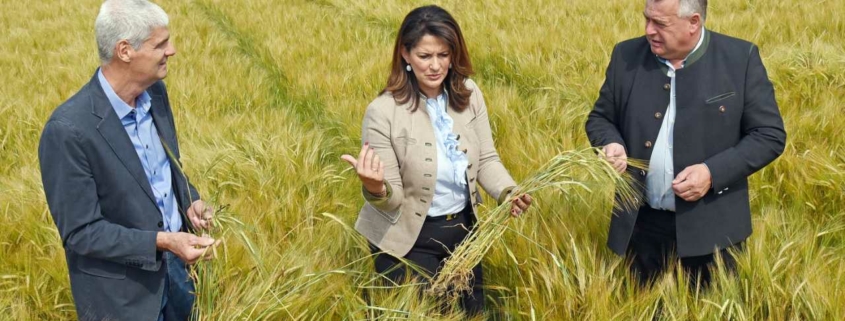 Staatsministerien Michaela Kaniber informiert sich über die Ernte 2020